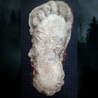 Cast of Bigfoot footprint